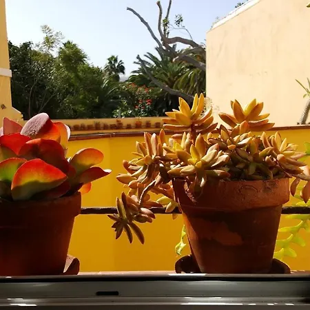 Atico 70 Metros De Terraza Santa Cruz de Tenerife