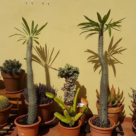 Atico 70 Metros De Terraza Apartmán *